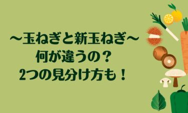 玉ねぎと新玉ねぎは何が違うの？2つの見分け方は？