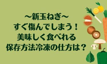 新玉ねぎがすぐ傷んでしまう！美味しく食べれる保存方法や冷凍の仕方は？
