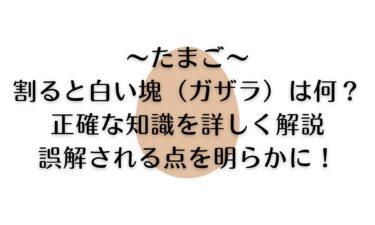 たまごを割ると白い塊（ガザラ）は何？正確な知識を詳しく解説・誤解される点を明らかに！