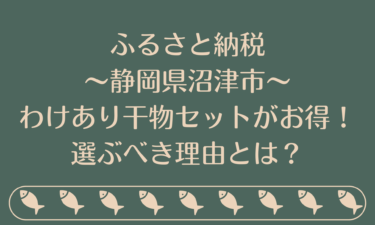 ふるさと納税で静岡県沼津市のわけあり干物セットがお得！選ぶべき理由とは？