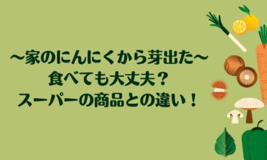 家のにんにくから芽出たけど食べても大丈夫？スーパーの商品との違い！