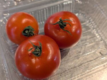 驚きの変身！しぼんだミニトマトを見違えるほど元気にする3つの裏ワザ