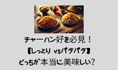 チャーハン好き必見！【しっとり vsパラパラ】】どっちが本当に美味しい？