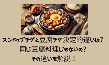 スンドゥブチゲと豆腐チゲ決定的違いは？ 同じ豆腐料理じゃないの？ その違いを解説！