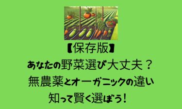 【保存版】あなたの野菜選び大丈夫？無農薬とオーガニックの違いを知って賢く選ぼう！