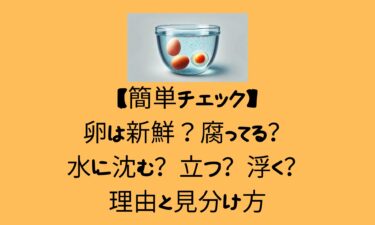 【簡単チェック】卵は新鮮？腐ってる？水に沈む？立つ？浮く？理由と見分け方