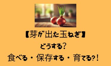 【芽が出た玉ねぎ】どうする？食べる・保存する・育てる？！