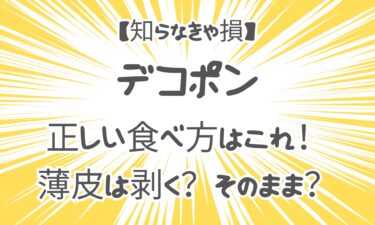 【知らなきゃ損】デコポンの正しい食べ方はこれ！薄皮は剥く？そのまま？