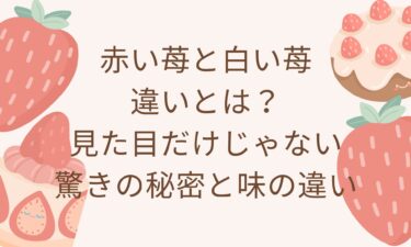 赤い苺と白い苺の違いとは？見た目だけじゃない驚きの秘密と味の違いを解説！