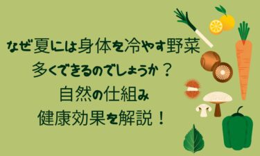 なぜ夏には身体を冷やす野菜が多くできるのでしょうか？自然の仕組みと健康効果を解説！