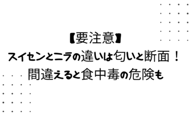 【要注意】スイセンとニラの違いは匂いと断面！間違えると食中毒の危険も