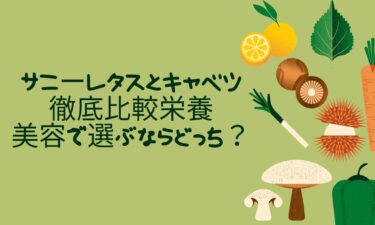 サニーレタスとキャベツ徹底比較｜栄養・ダイエット・美容で選ぶならどっち？