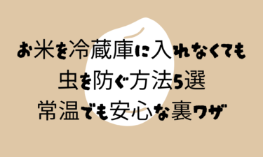 【保存版】お米を冷蔵庫に入れなくても虫を防ぐ方法5選｜常温でも安心な裏ワザも紹介！