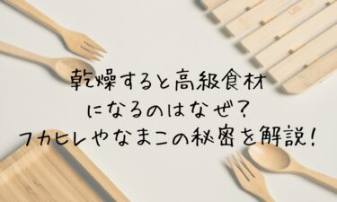 乾燥すると高級食材になるのはなぜ？フカヒレやなまこの秘密を徹底解説！