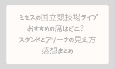 ミセスの国立競技場ライブでおすすめの席はどこ？スタンドとアリーナの見え方・感想まとめ